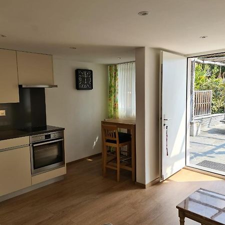 Minusio Casa Pergola Di Franzヴィラ エクステリア 写真